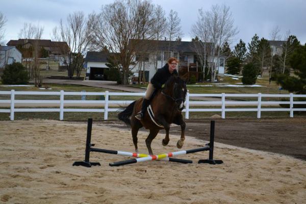 Why I started Building Horse Jumps