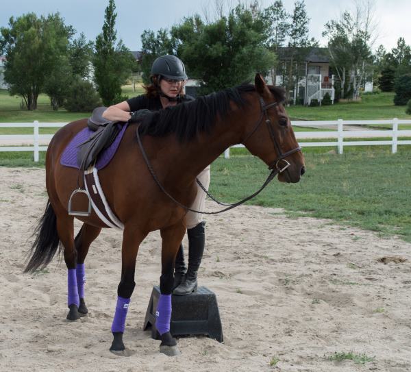 The Most Important Items You Need For Horseback Riding Lessons