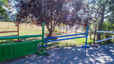 How to DIY a set of horse jumps for $350.00