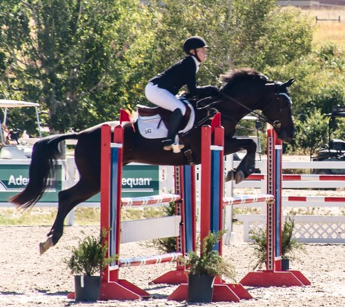 Horse Show Photography; Learning as a Spectator