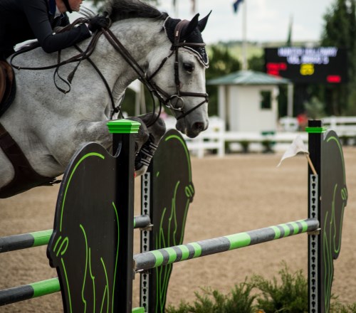 jumper class at the Colorado Horse Park