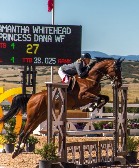 jumper class at the Colorado Horse Park