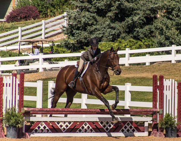 Hunter class at the Colorado Horse Park