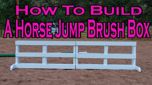 subscriber thank you