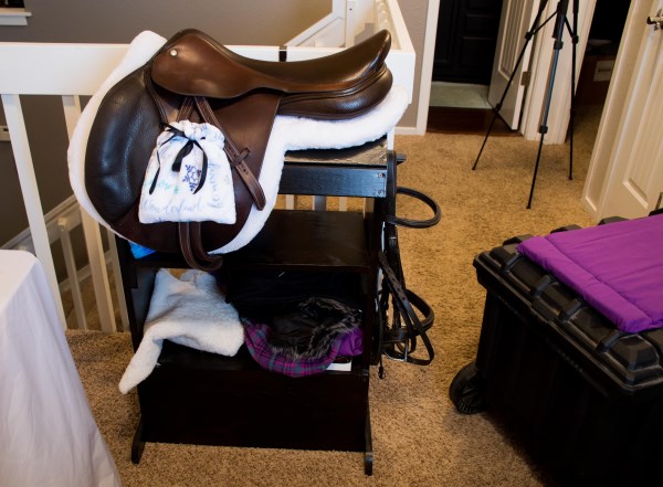 horse blogging challenge