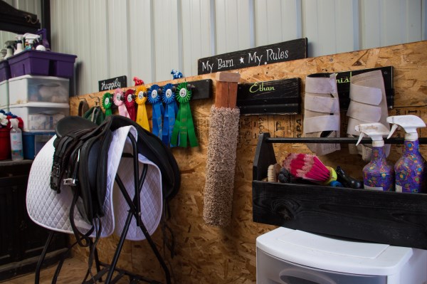 horse blogging challenge