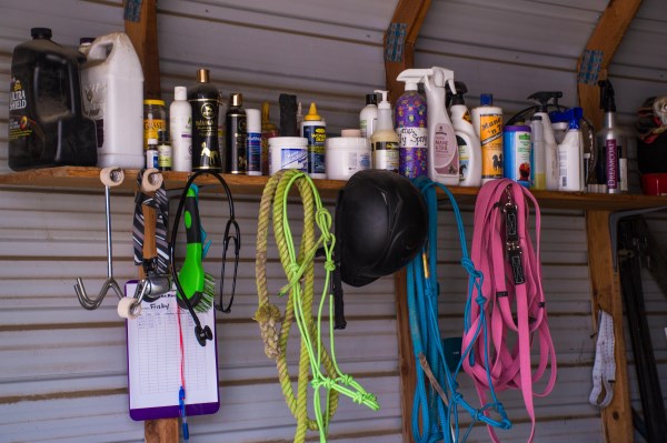 30 day blog challenge