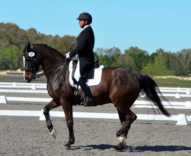 my favorite discipline and why