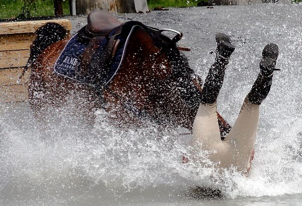 horse blogging challenge