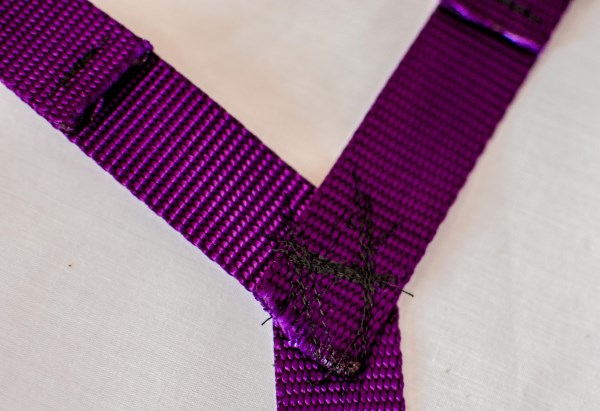 lunging strap