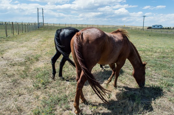 my best riding friend
