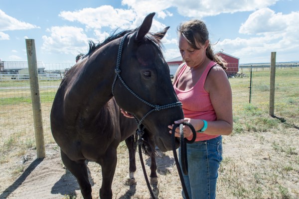 Making a plan with Lynda 