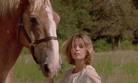 my favorite horse movie