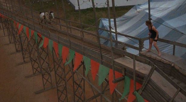 my favorite horse movie