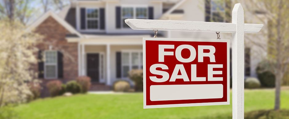 my $63,000 green house