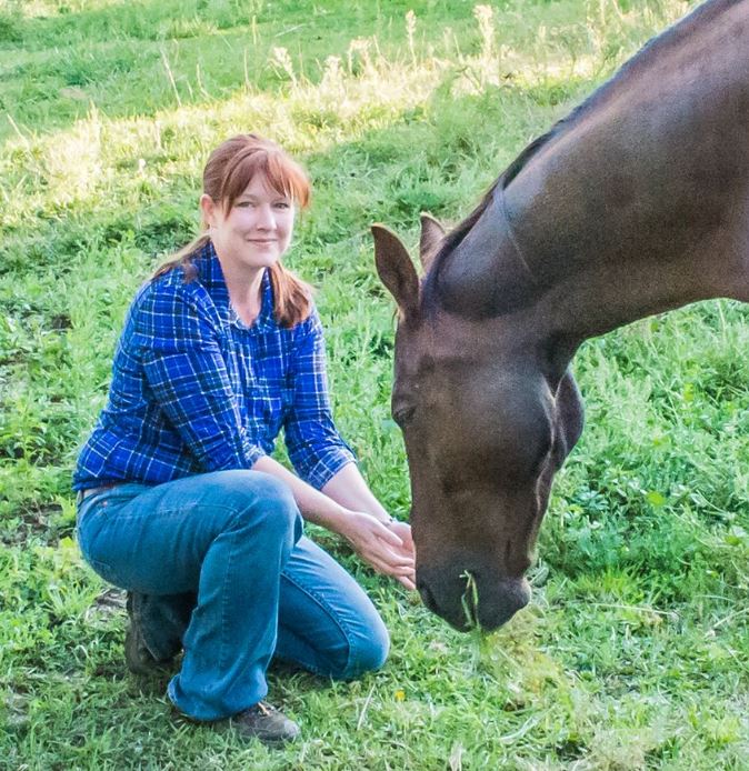 The Importance of Horses in My Life