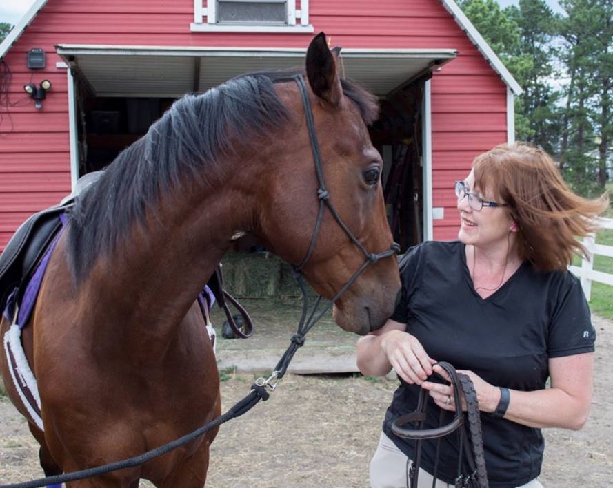 The Importance of Horses in My Life