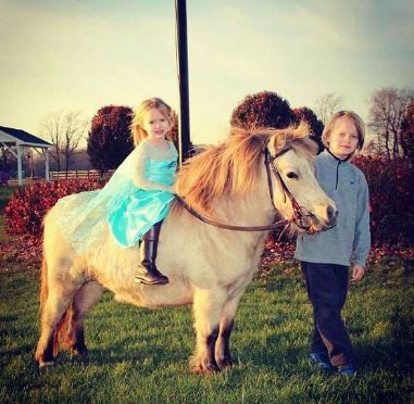 Find A Horse Online I Would Want To Buy