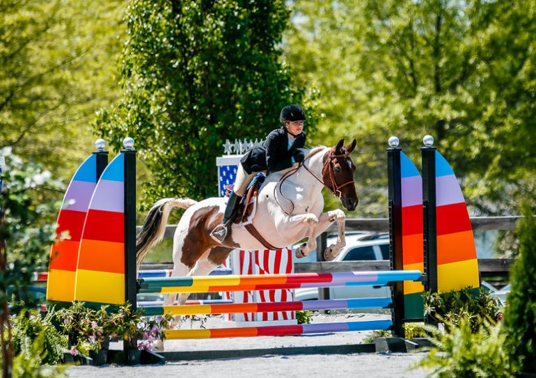 my future with horses