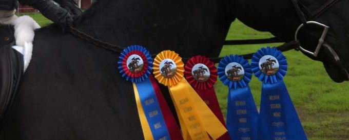 My Favorite Ribbon Won at a Show and Why