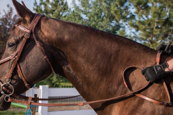 Happy Birthday Frisby