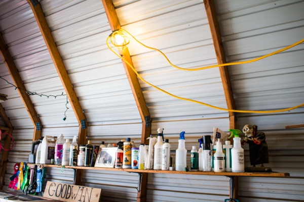 Decluttering The Barn- Getting A Horse Property Ready For Sale
