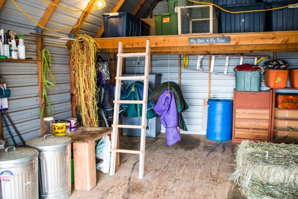 Decluttering The Barn- Getting A Horse Property Ready For Sale