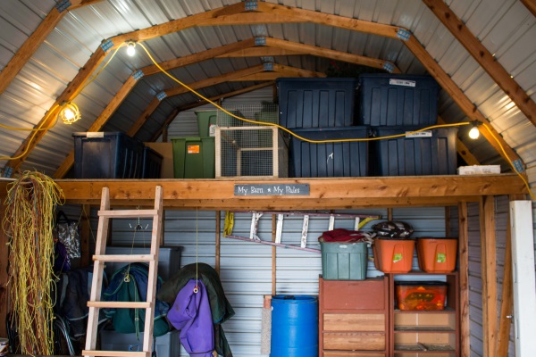 Decluttering The Barn- Getting A Horse Property Ready For Sale