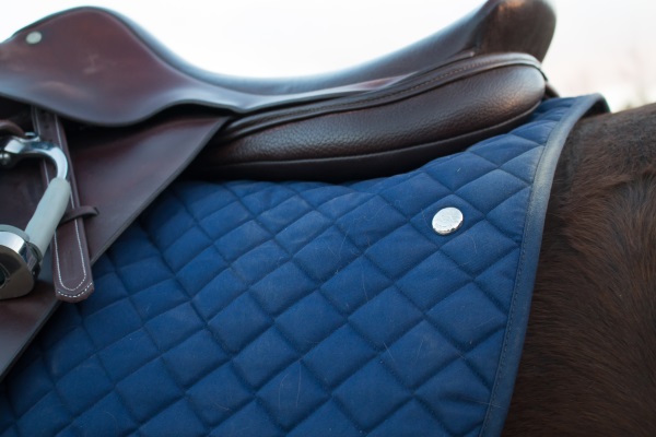 Best saddle pad ever