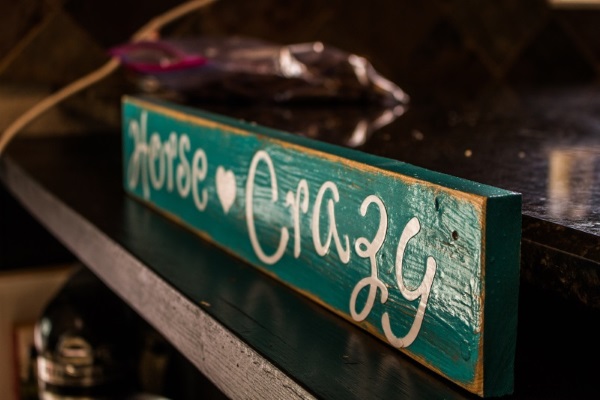 Equestrian Arts And Crafts – DIY Horse Crazy Sign