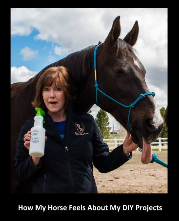 I Am In Love With Online Horse Shows