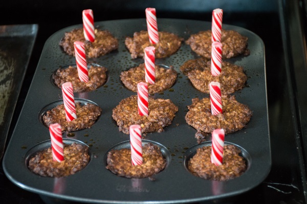 Homemade Horse Treats Recipe - Horse Cake Pops