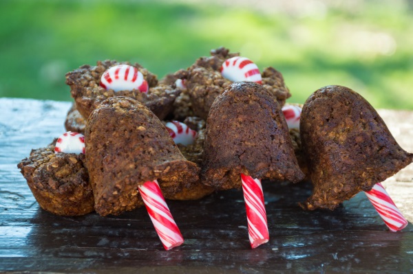 Homemade Horse Treats Recipe Horse Cake Pops Budget Equestrian