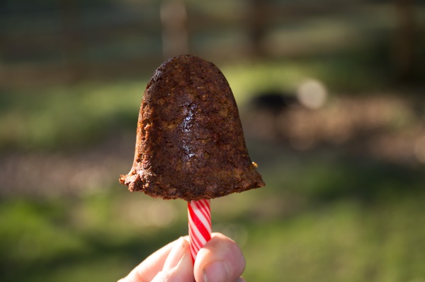 Homemade Horse Treats Recipe - Horse Cake Pops