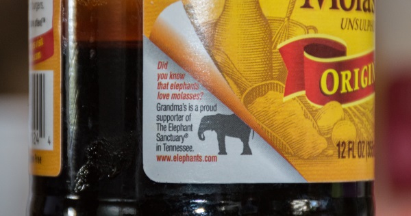 Homemade Horse Treats Recipe - Horse Cake Pops