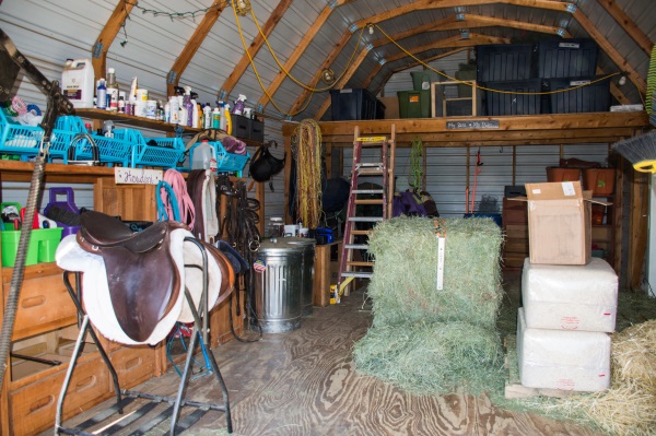 Rest Day For Your Horse - Busy Day For You