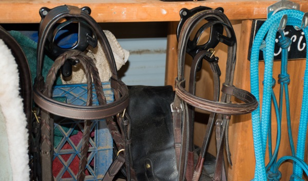 Rest Day For Your Horse - Busy Day For You