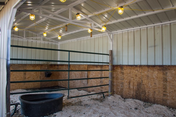 Rest Day For Your Horse - Busy Day For You