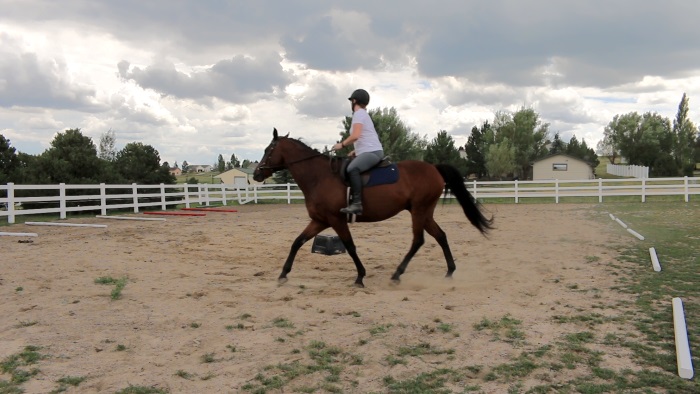 Becoming A Better Rider Day 8: Riding Without Stirrups