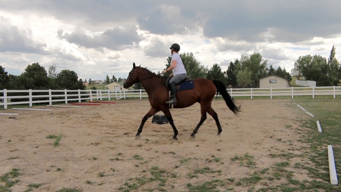 Better Balance with Trotting - Day 22 Being A Batter Rider Challenge ...