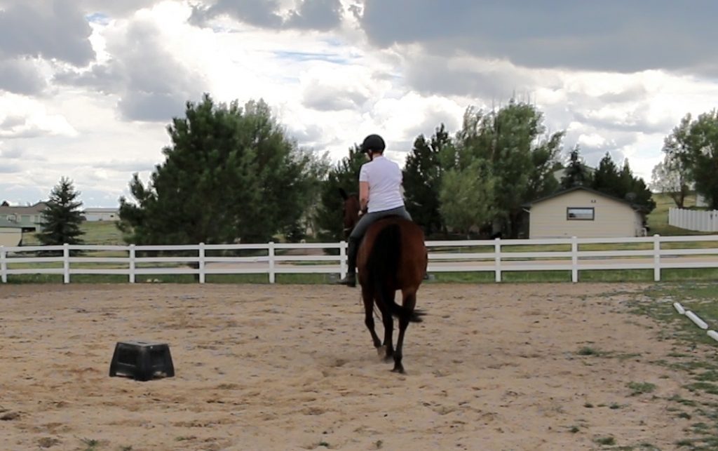 Becoming A Better Rider Day 8: Riding Without Stirrups