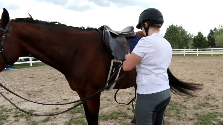 Becoming A Better Rider Day 8: Riding Without Stirrups