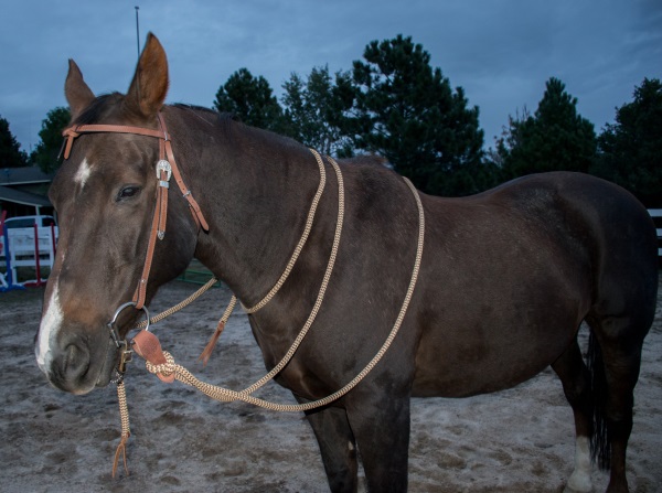 Slobber Straps and Mecate Reins