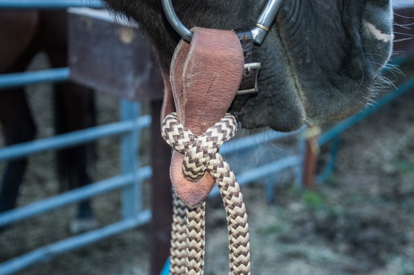 Slobber Straps and Mecate Reins