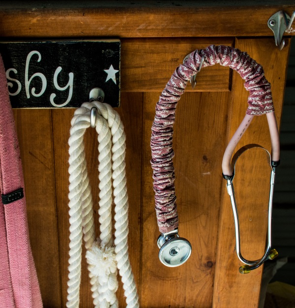 checking horse vital signs