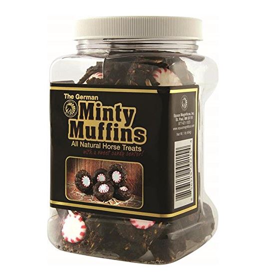 equestrian gift ideas