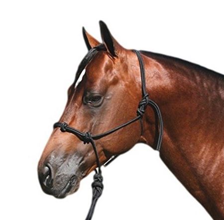 Gift Ideas For Equestrians