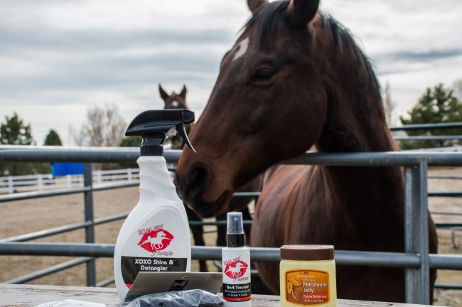 budget equestrian weekly video recap