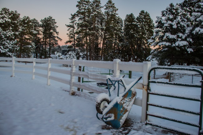 budget equestrian weekly video recap