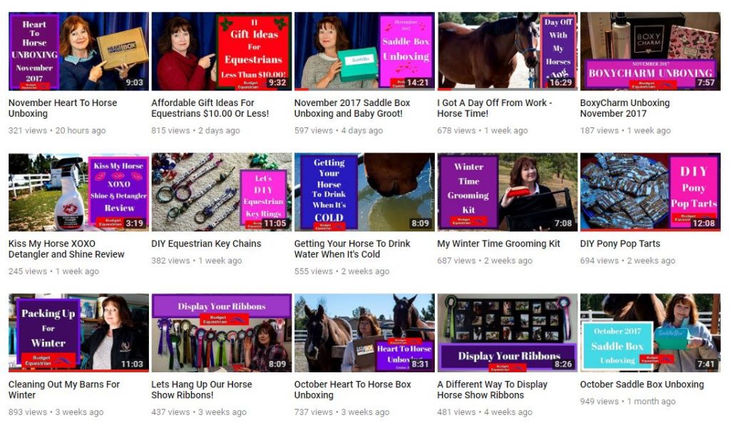Budget Equestrian weekly video recap